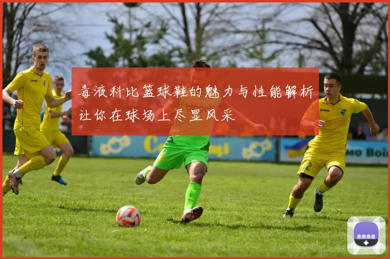 毒液科比篮球鞋的魅力与性能解析让你在球场上尽显风采