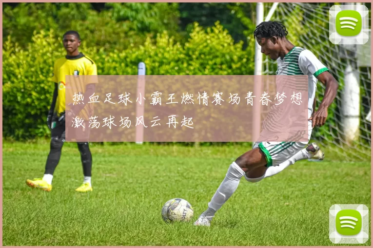热血足球小霸王燃情赛场青春梦想激荡球场风云再起