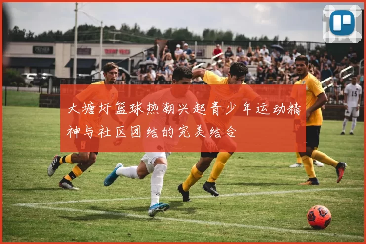 大塘圩篮球热潮兴起青少年运动精神与社区团结的完美结合